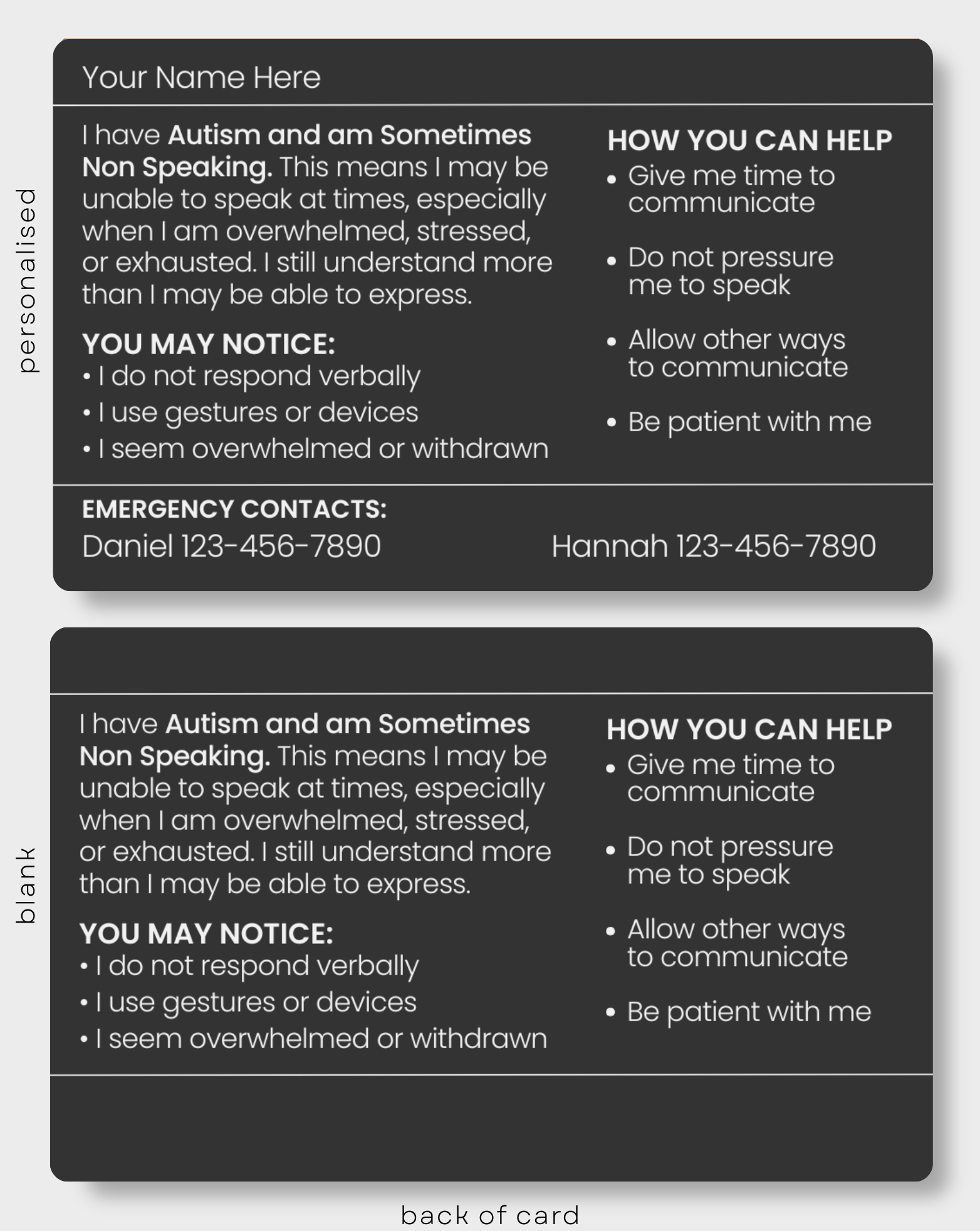 Autism and Sometimes Non Speaking