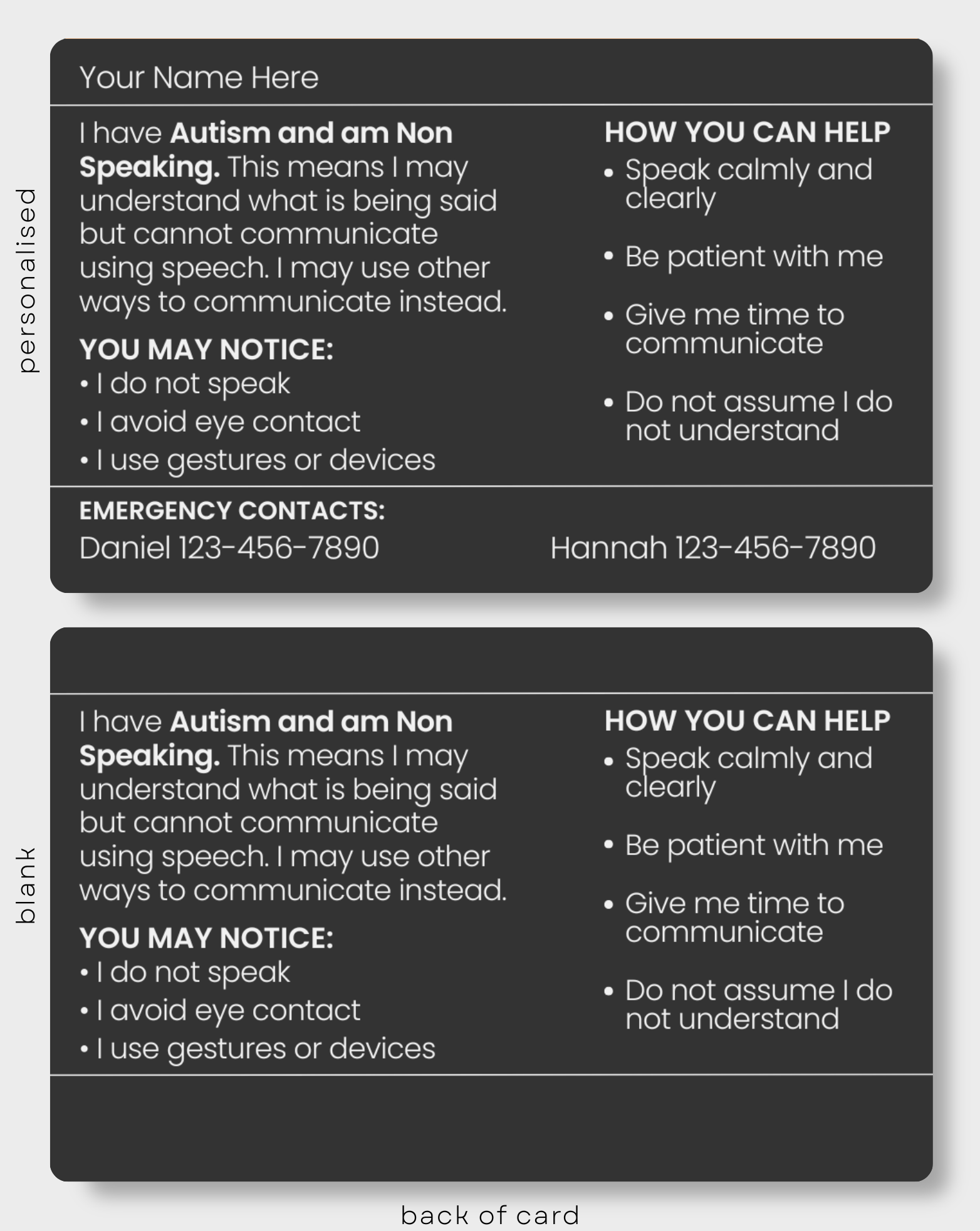 Autism and Non Speaking